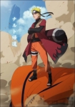Naruto eremita